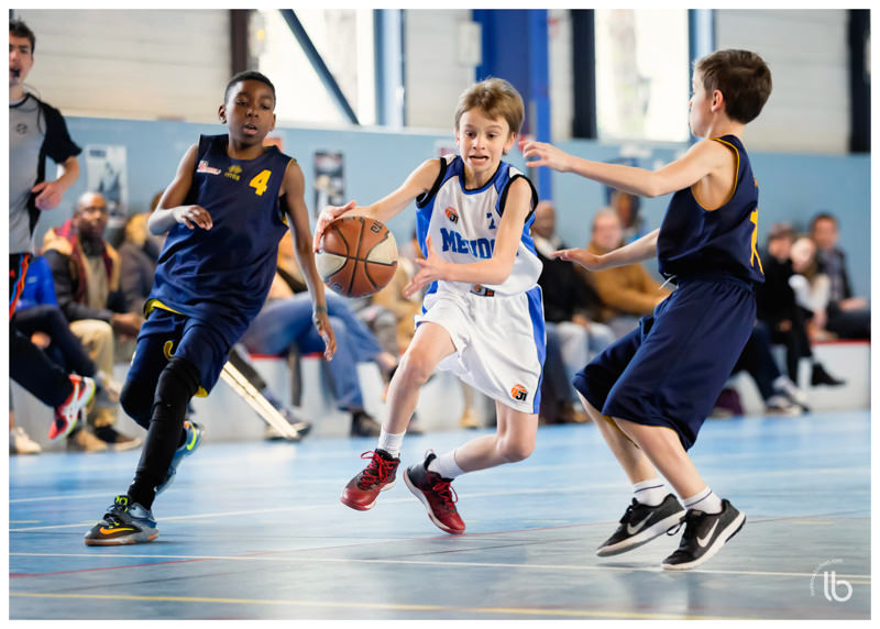 20160320-asm-basket-poussins-by-laurence-bichon-800x572-web_mini