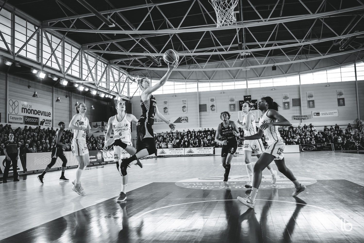projet #allezlesfilles - basketball lfb mondeville rencontre bourges par laurence bichon