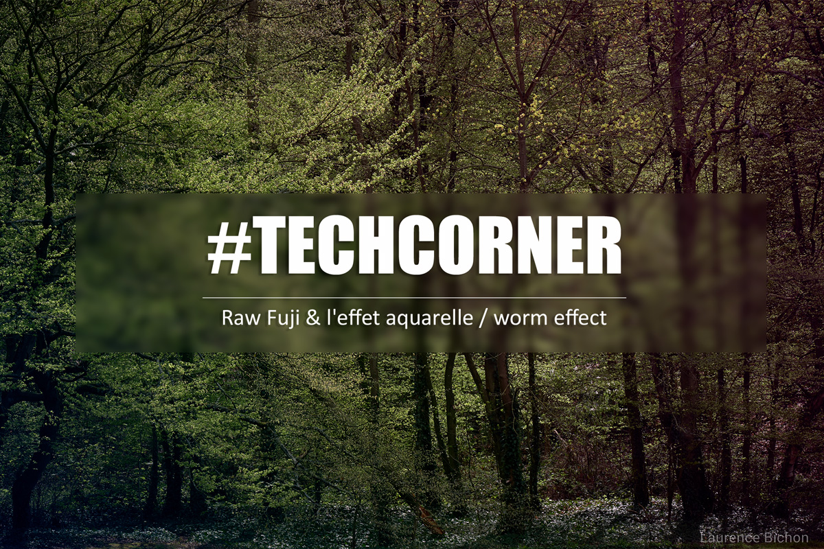 techcorner - raw fuji and effet aquarelle - worm effect
