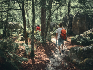 Escalade à Auvernaux, près de Fontainebleau par Laurence Bichon