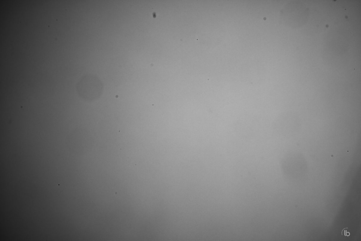 How to Clean Dust from a Fujifilm Mirrorless Camera GUIDE]