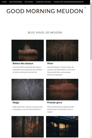 Création de site web par laurence bichon photographe à Meudon